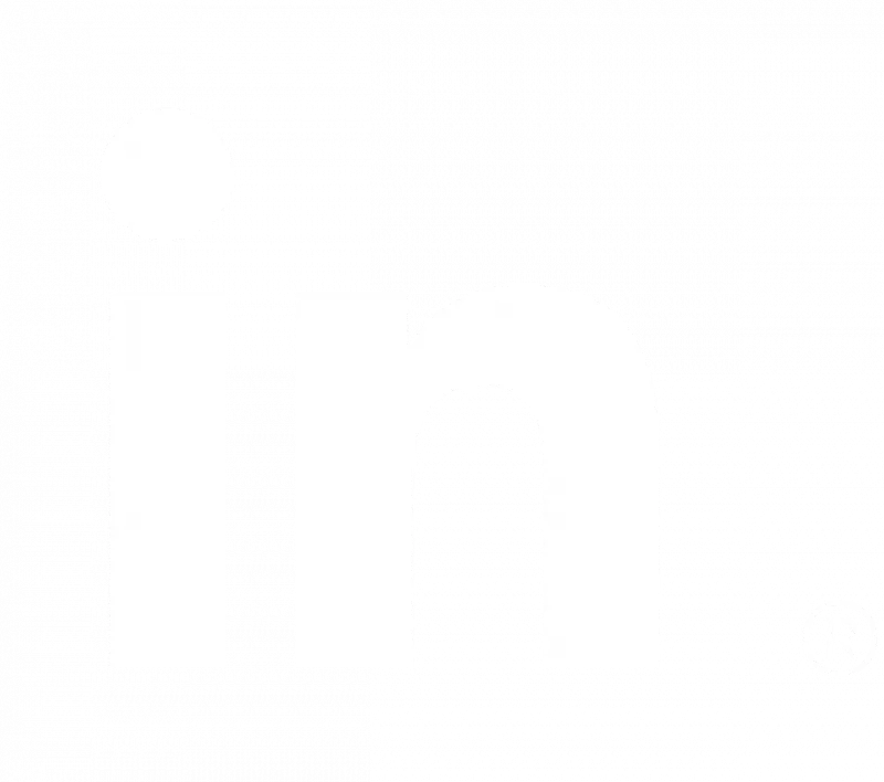 White Linkedin logo icon