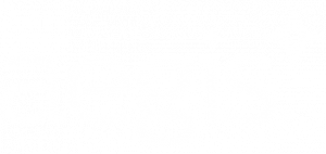 White aegis logo